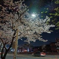 오랜만에 출근해서 틈틈이 시간날때 연습했습니다 틈틈이 연습하는게 제일 좋네요