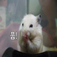 오늘도 무사히 오늘학습 클리어 Good luck tomorrow too!